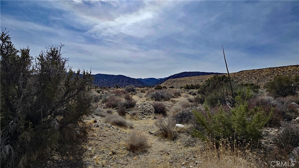 Property Photo: 0 Vicinity Ave Z8 & 235th St E CA 93544