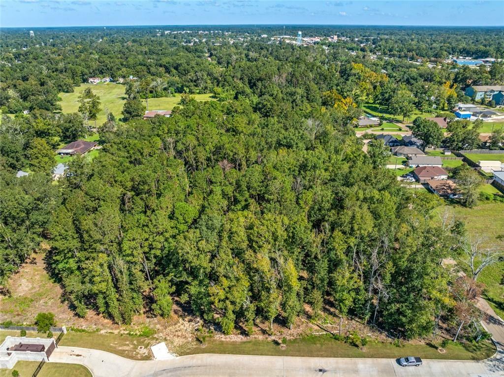 Property Photo: 0 Bauerle Road LA 70403