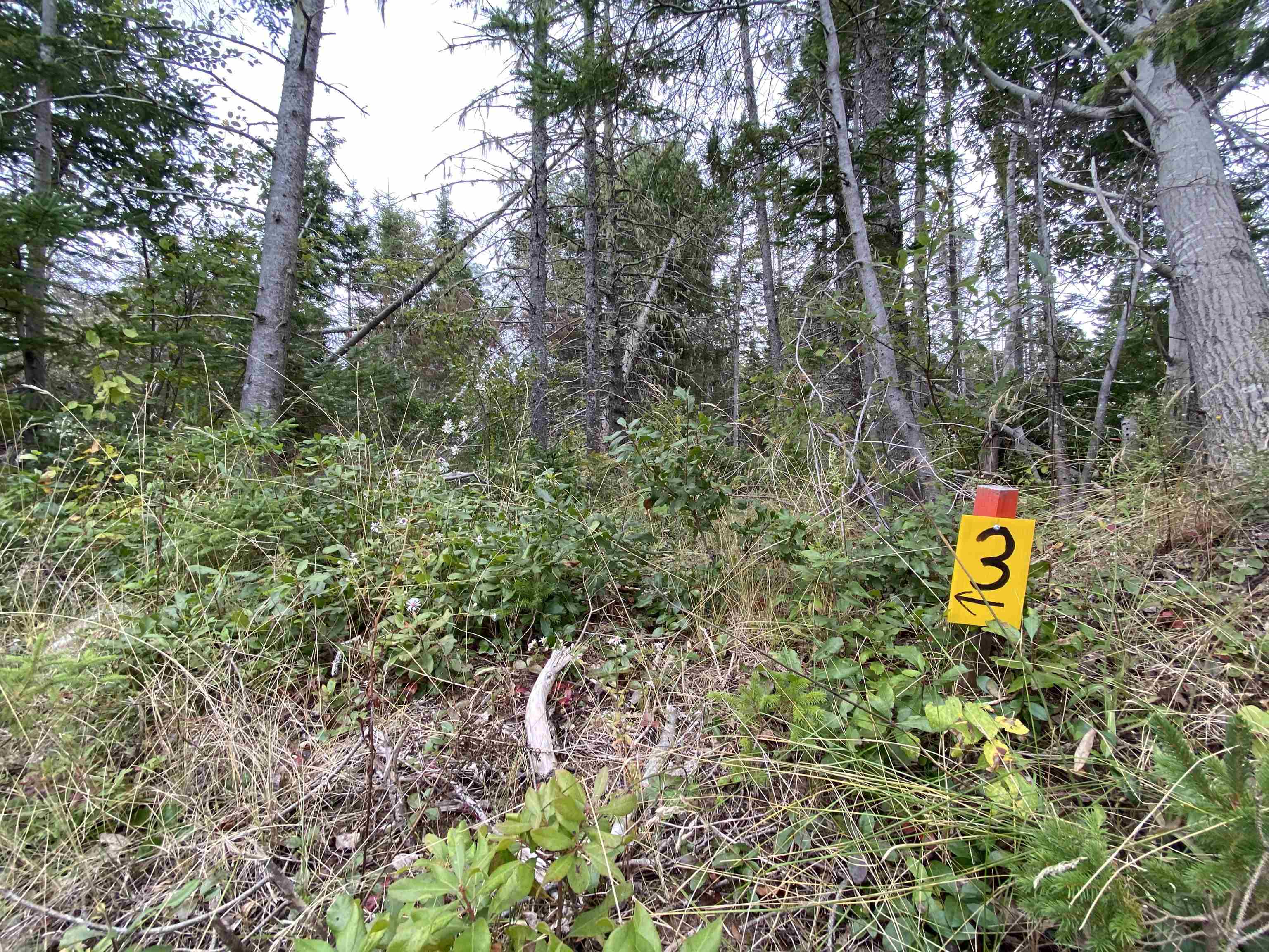 Photo de la propriété: Lot 3 Floating Bridge Road PE C0A 1W0