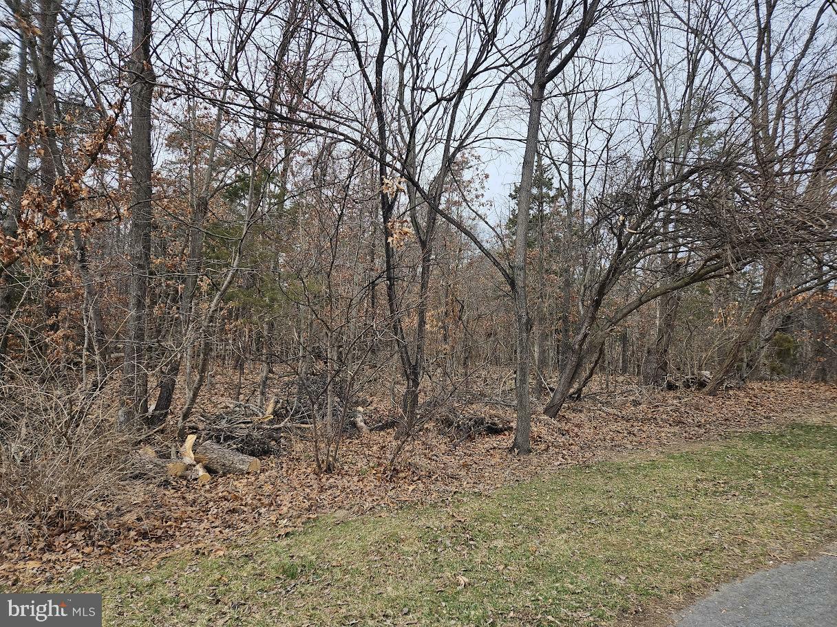Property Photo:  Unknown  VA 22655 