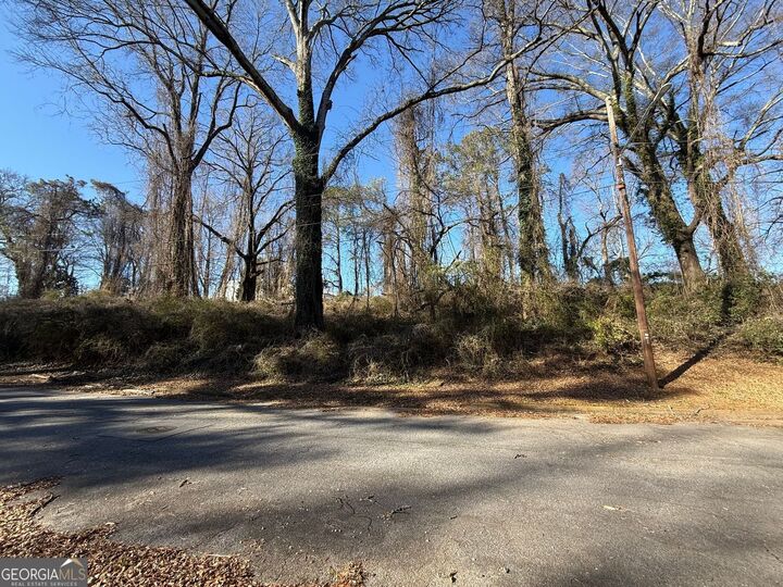 Property Photo: 452 Booker Avenue GA 30079