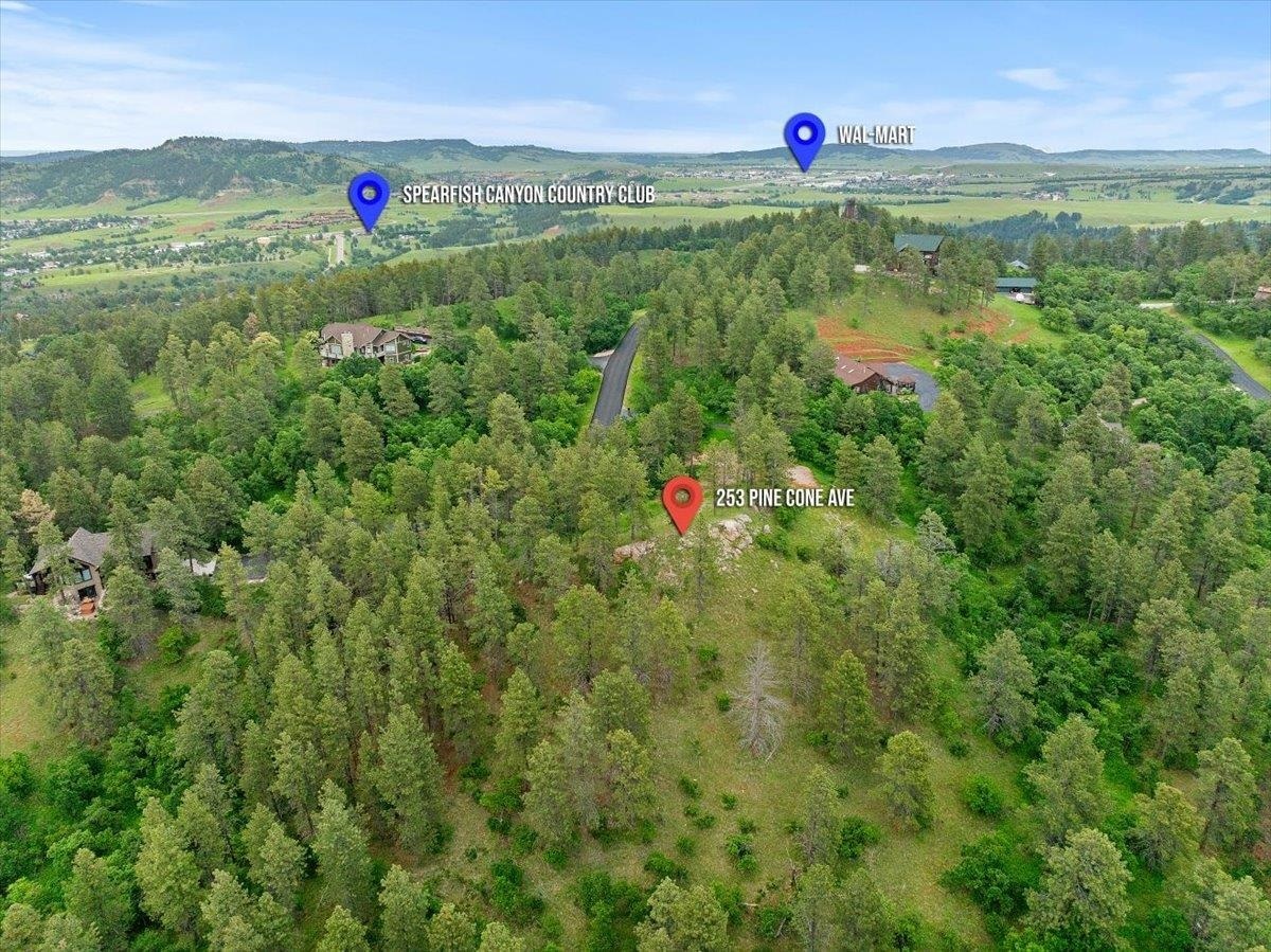 Property Photo:  253 Pine Cone Avenue  SD 57783 