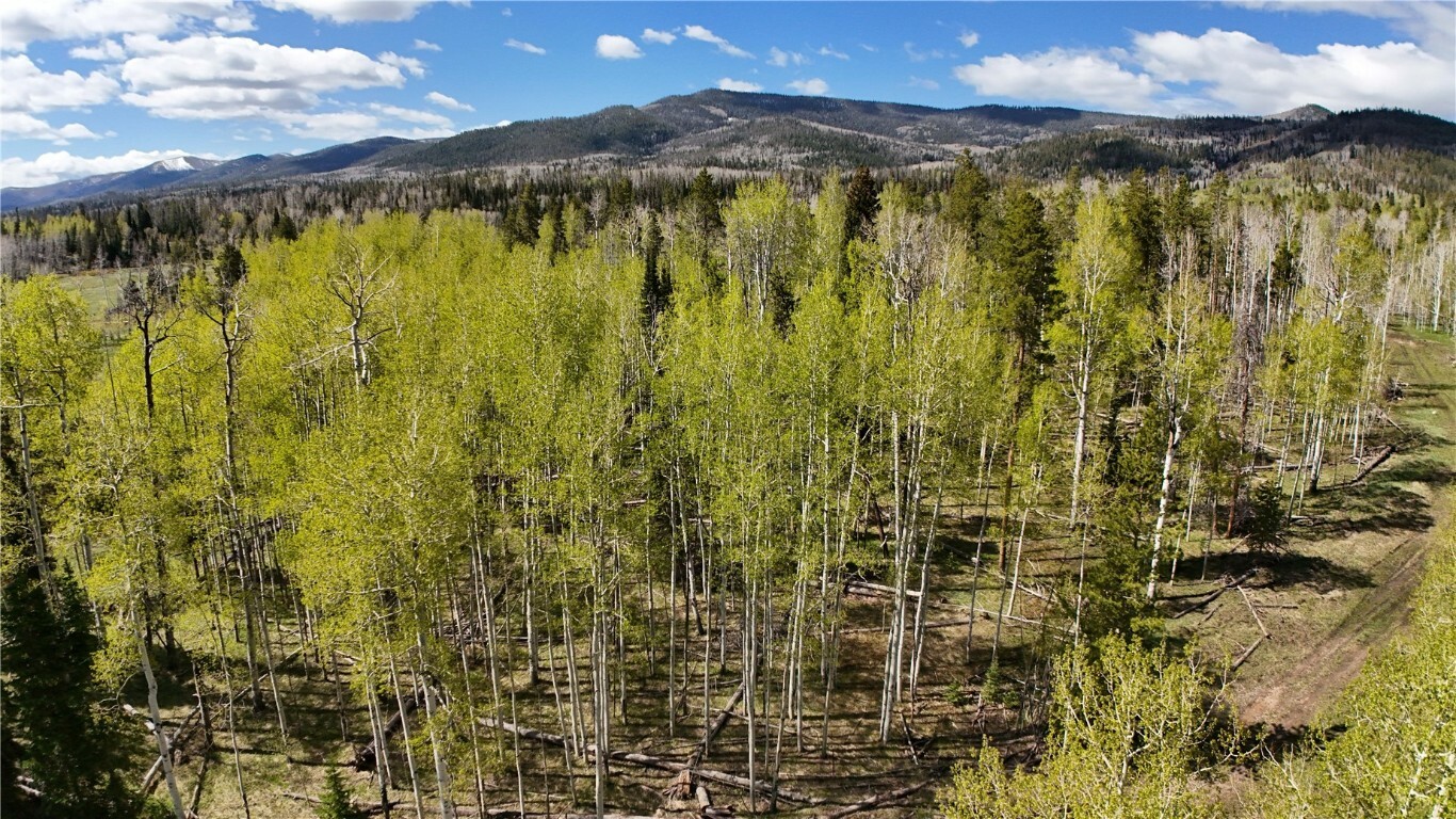 Property Photo:  Lot 98 South Station I  CO 80486 