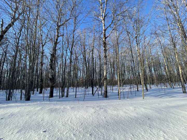 Lot 46 Louise Drive  Elmira MI 49730 photo