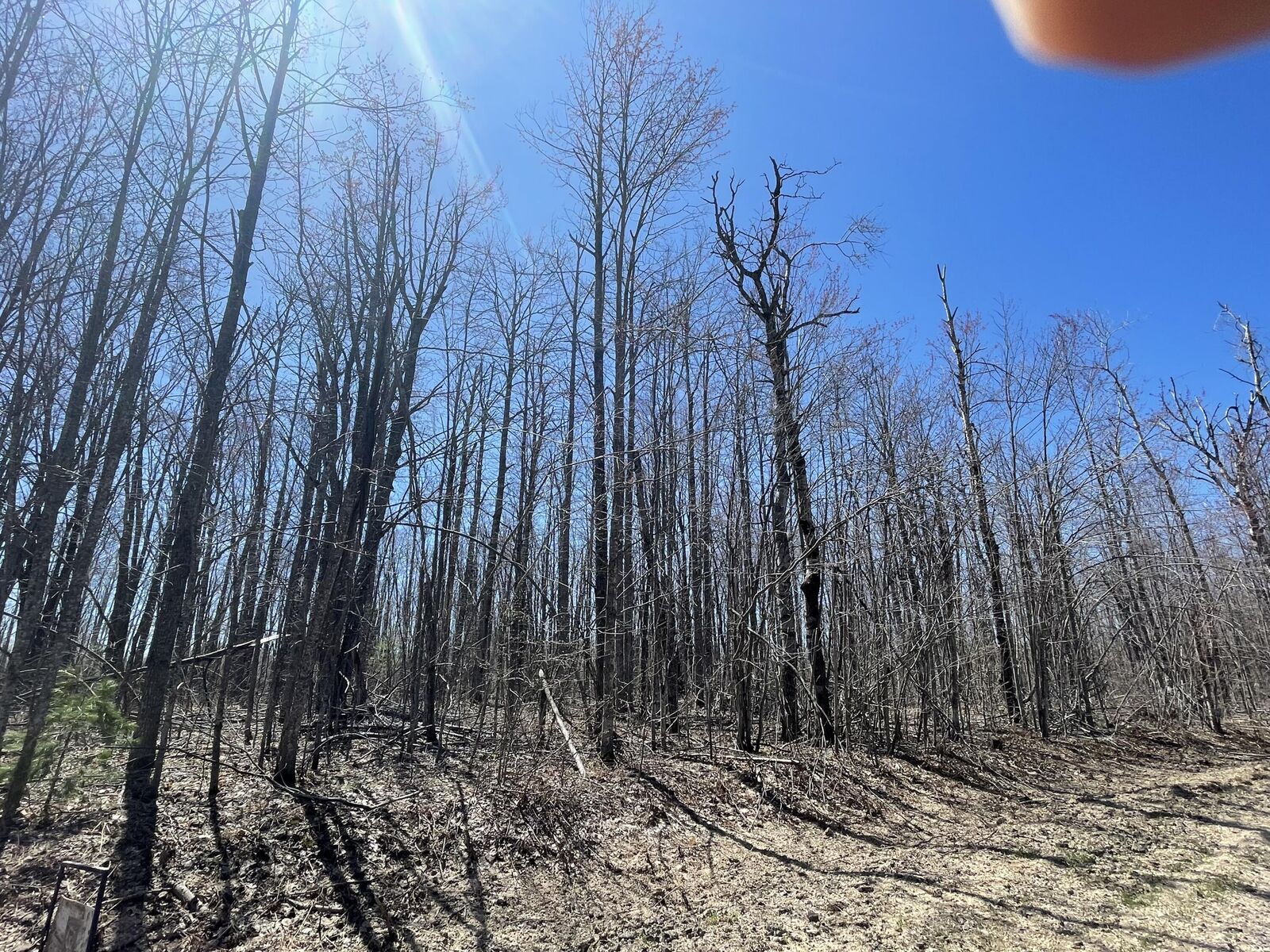 Property Photo: Lot 46 Louise Drive MI 49730
