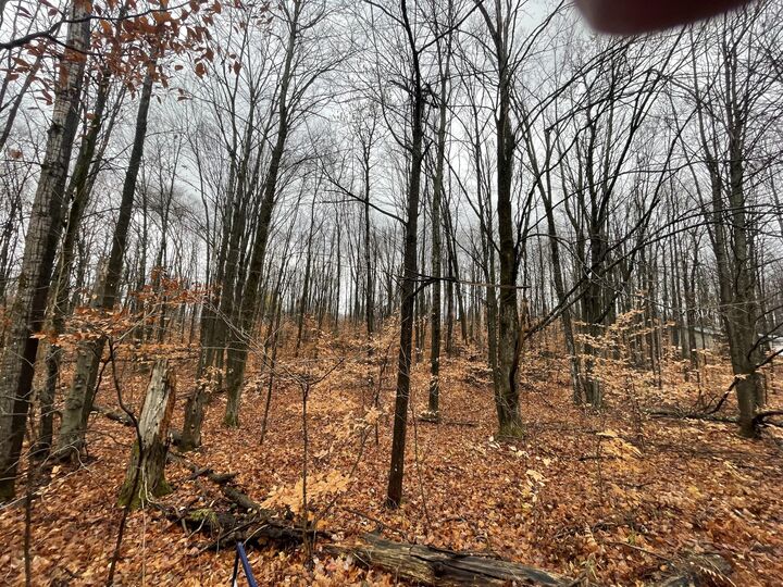 Property Photo:  Lot 281 Acacia Drive  MI 49659 