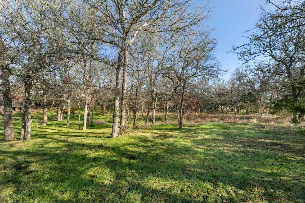 Property Photo:  385 Texas Oak Drive  TX 78612 