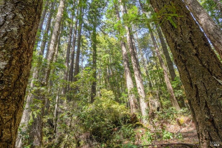 Property Photo:  335 Deerfield  CA 95497 