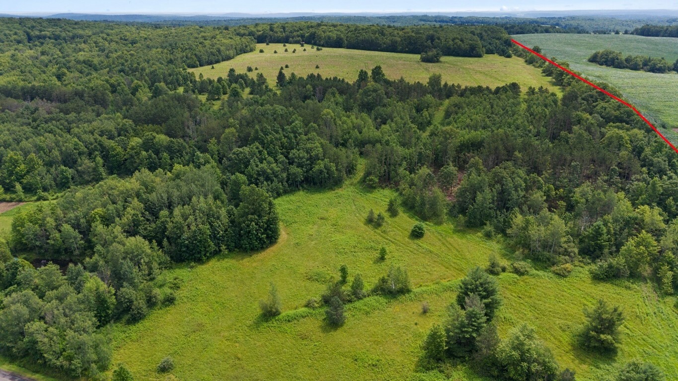 Property Photo:  180 Jennings Road  NY 13835 