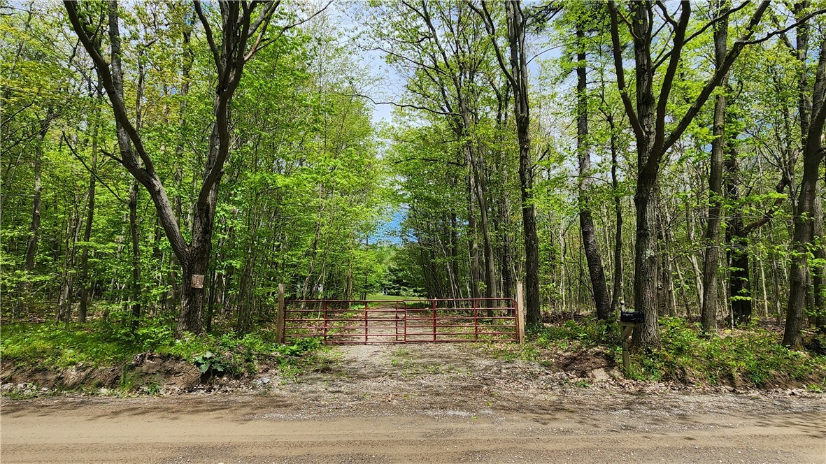 Property Photo: 6291 Burke Road NY 14873