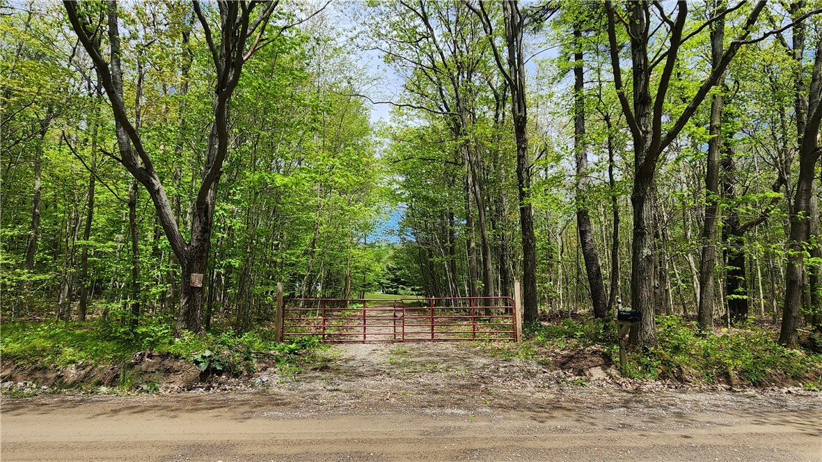 Property Photo:  6291 Burke Road  NY 14873 