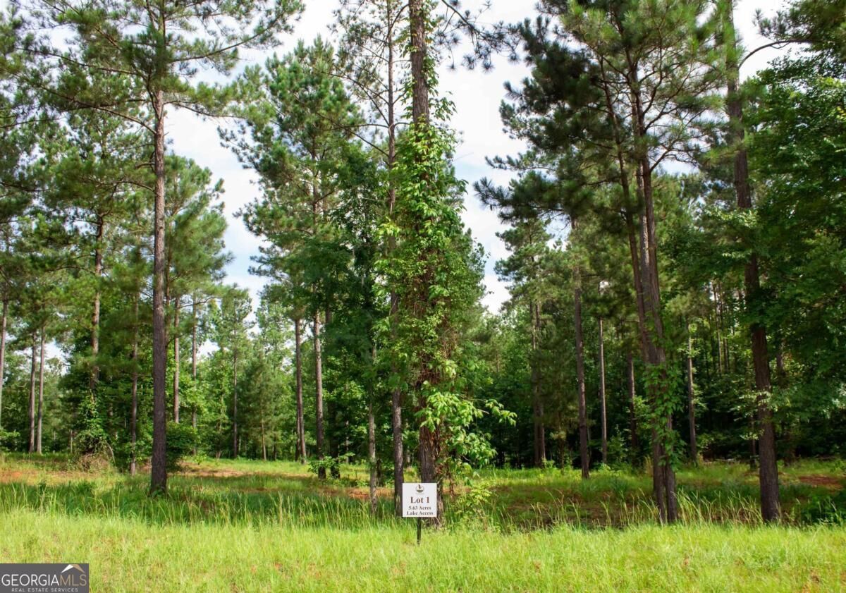 Property Photo: 176 Overlook Drive GA 31024