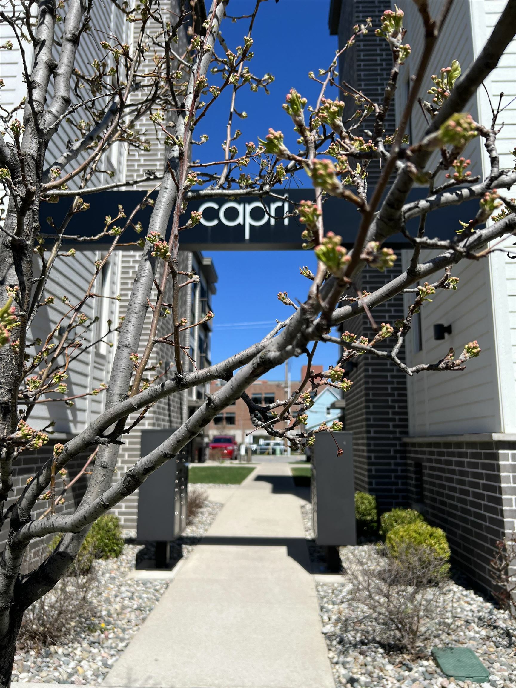 Property Photo: 135 E Eighth Street 211 MI 49684