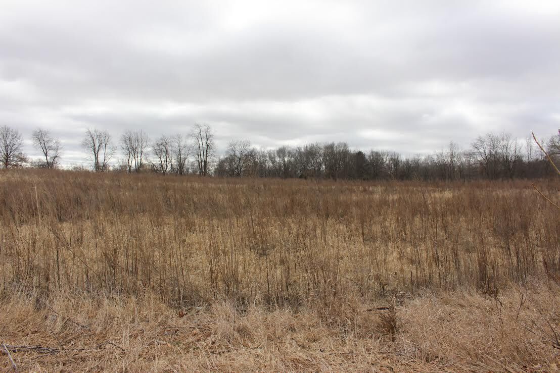 Property Photo:  000 Sager  MI 49240 