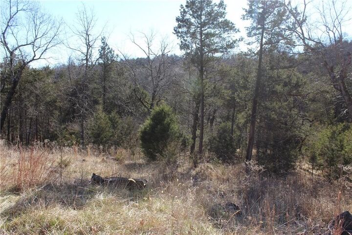 Property Photo: 15 Deer Run Drive 115 AR 72631