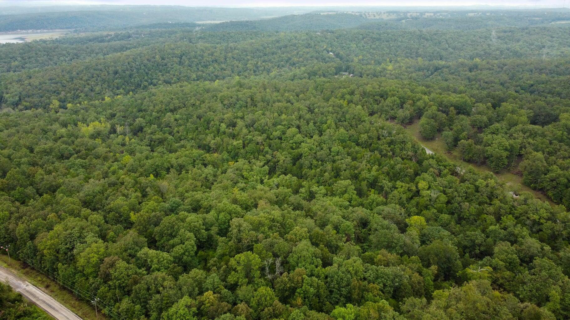 Property Photo: 000 Homestead Cedar Hills MO 65761