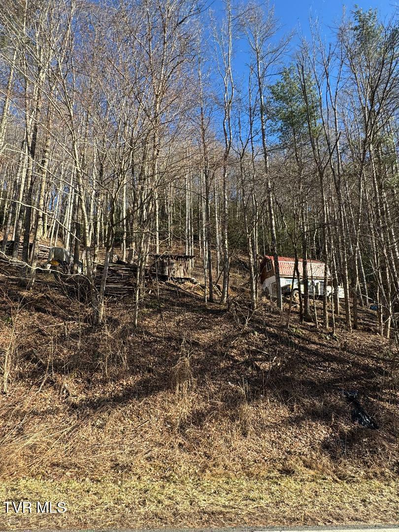 6020 Forge Creek Road  Mountain City TN 37683 photo