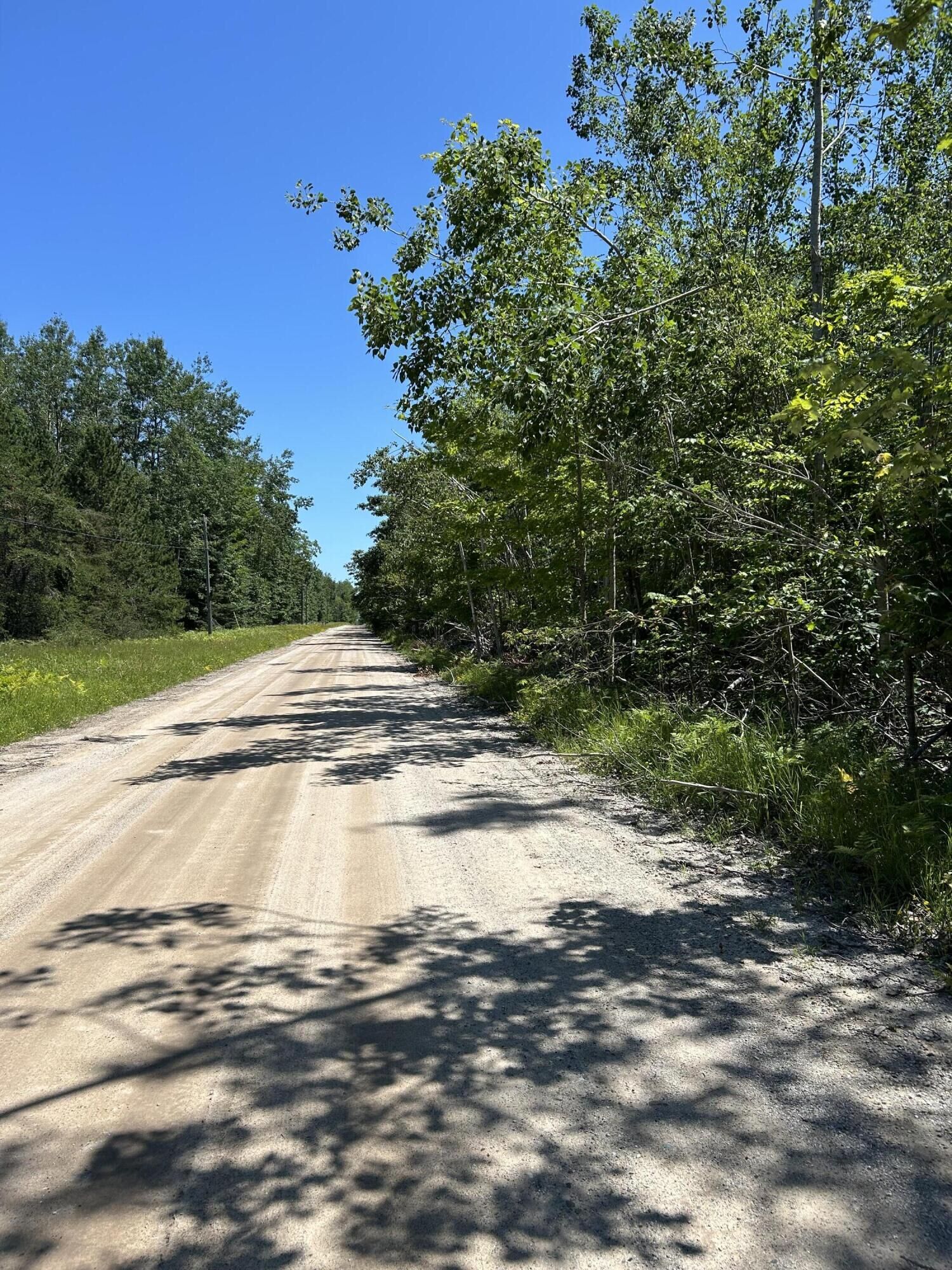Property Photo:  Parcel C Woodmansee Road  MI 49721