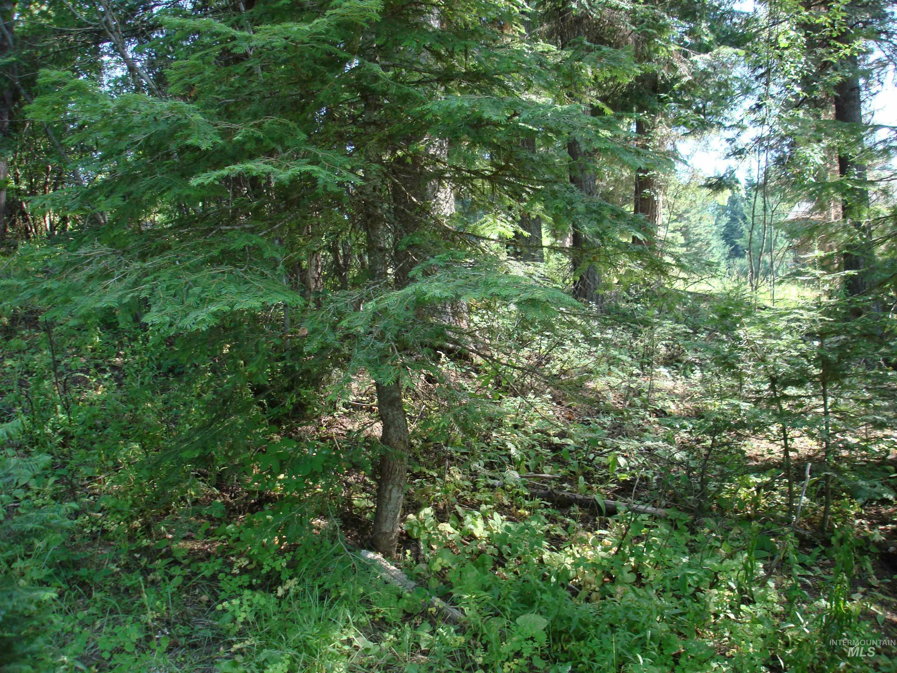 Property Photo:  Lot 2 Majestic View Drive  ID 83638 