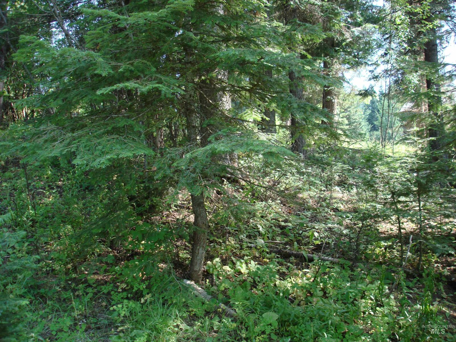 Property Photo: Lot 2 Majestic View Drive ID 83638