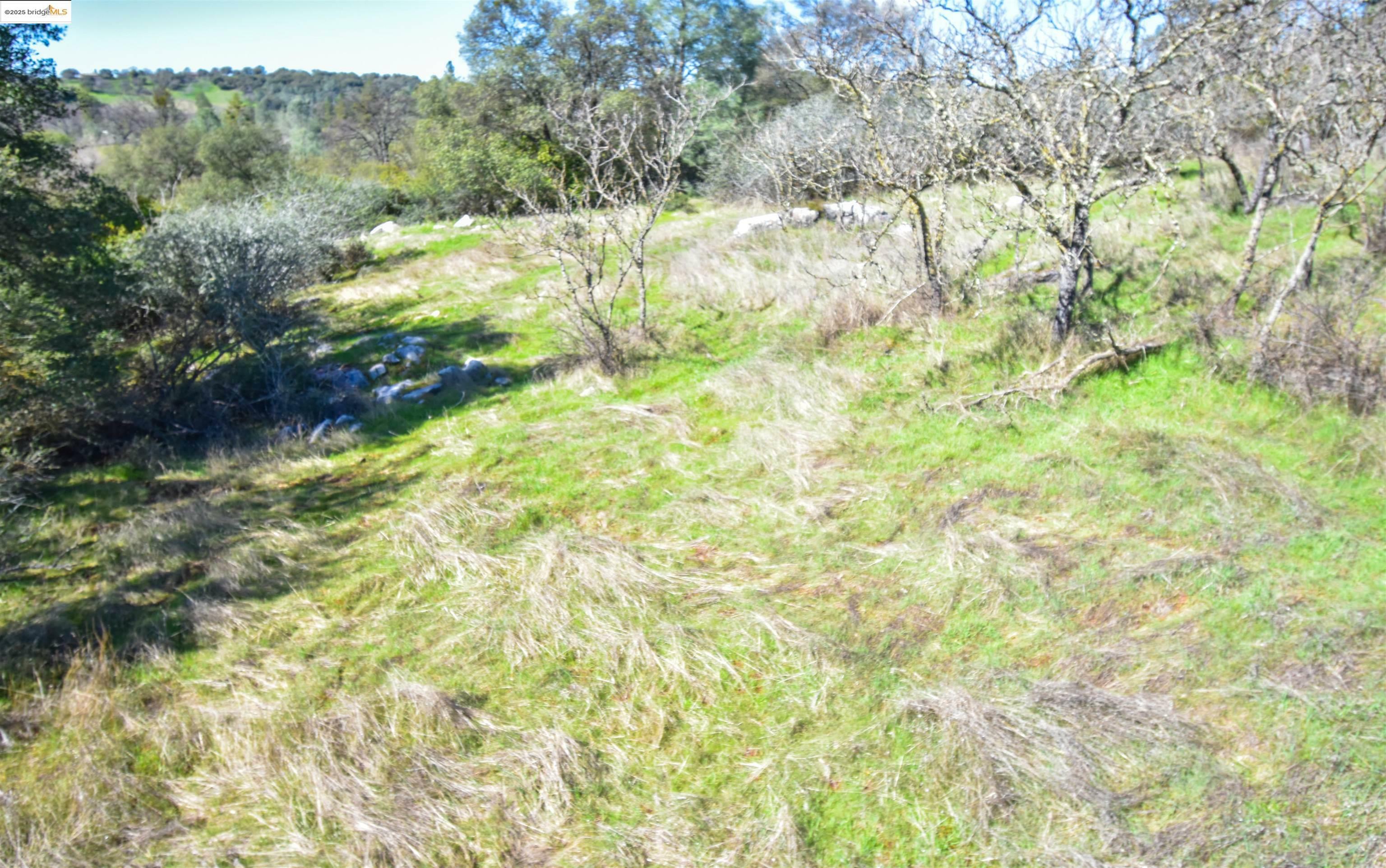 Property Photo:  000 Quarry  CA 95310 