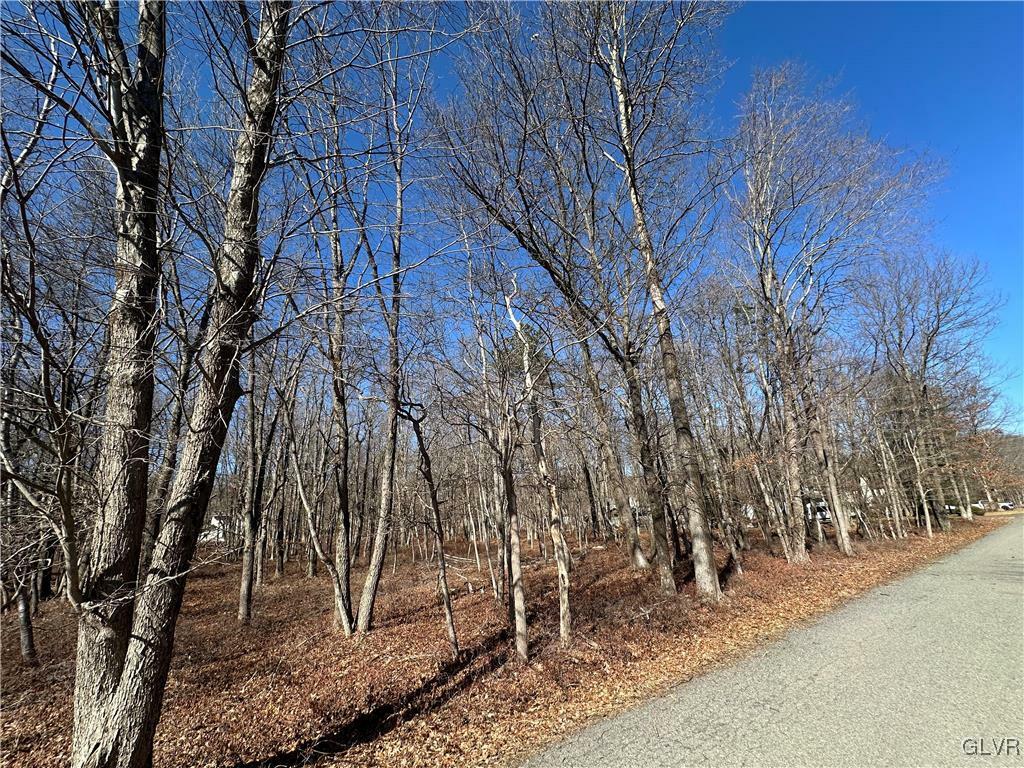 Property Photo: 0 Pawnee Trail PA 18210