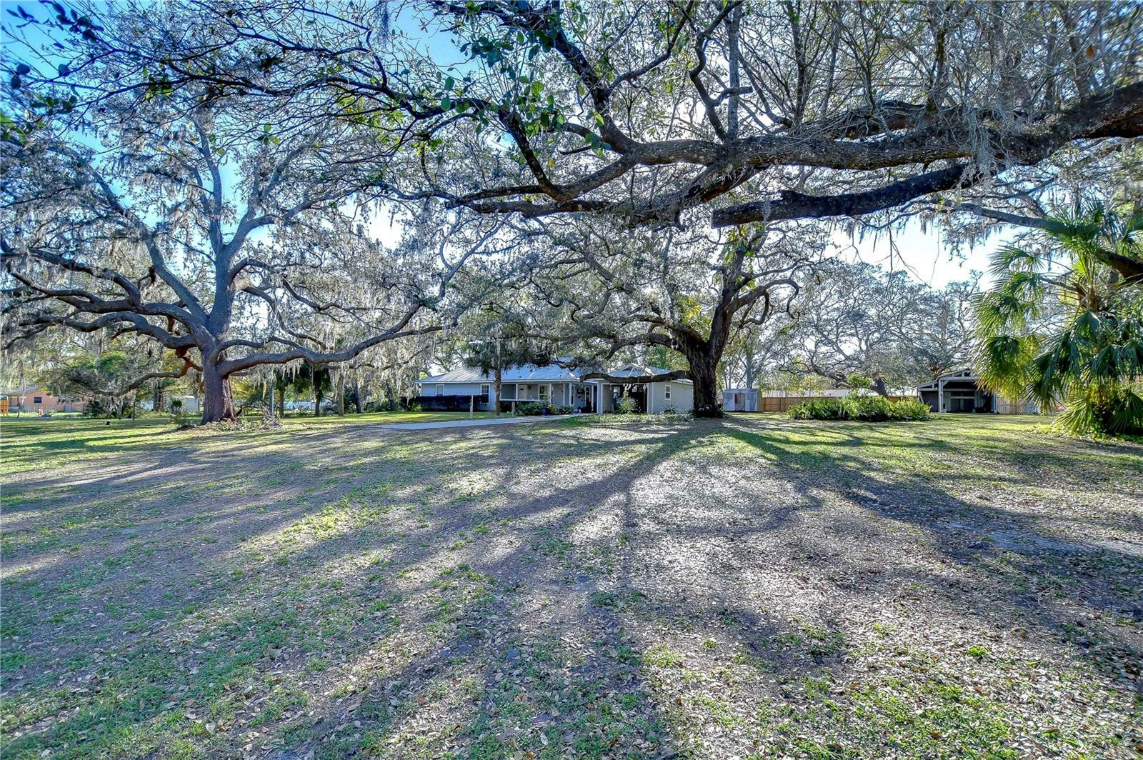 Property Photo:  8249 Cindy Drive  FL 33540 