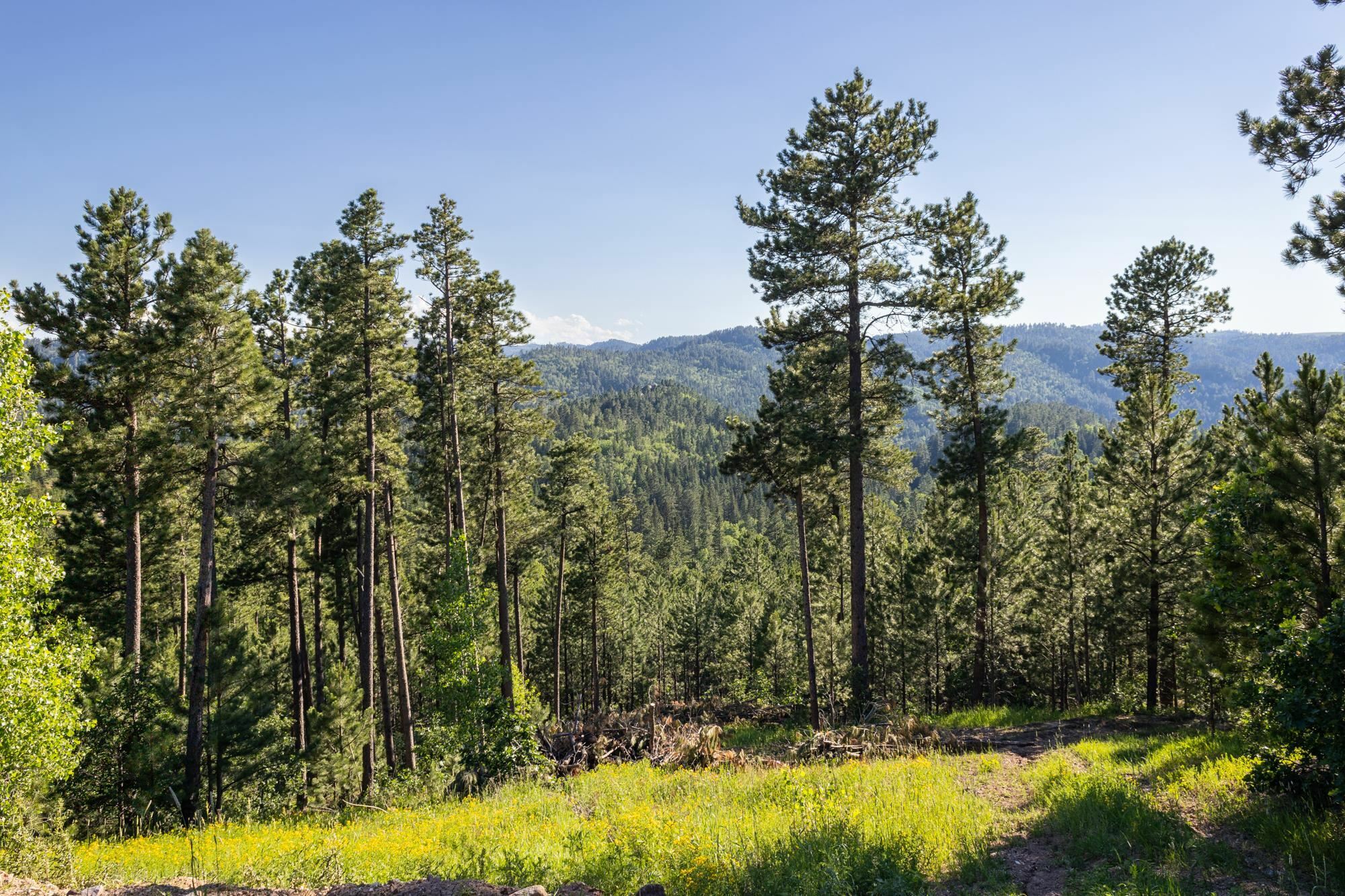 Lot 123 Paradise Gulch Loop  Lead SD 57754 photo