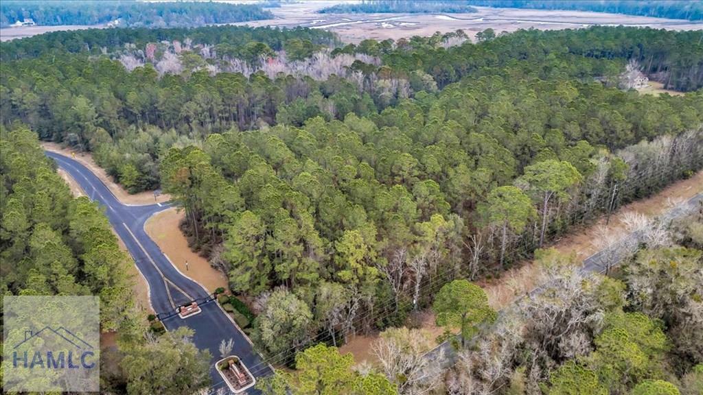 Property Photo: Lot 83 Fiddlers Cove GA 31331