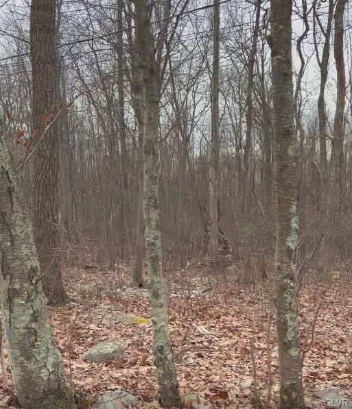 Property Photo:  191 Opal Way  PA 18302 