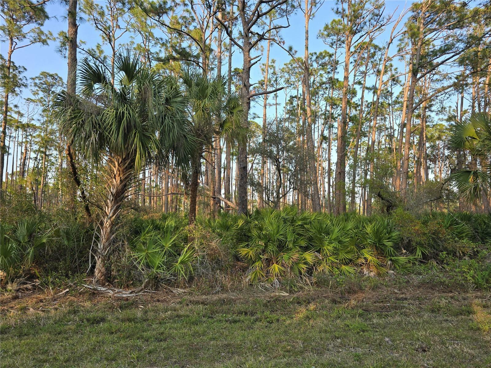 Property Photo: 12522 Ranch Avenue FL 33953