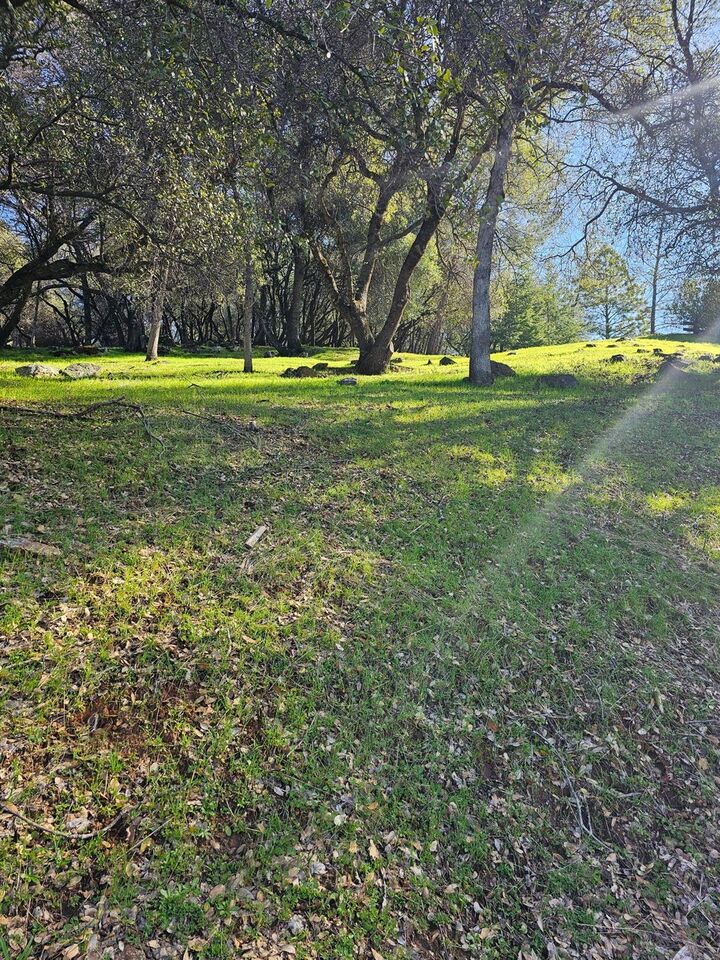 Property Photo:  11839 Warbler Way  CA 95946 