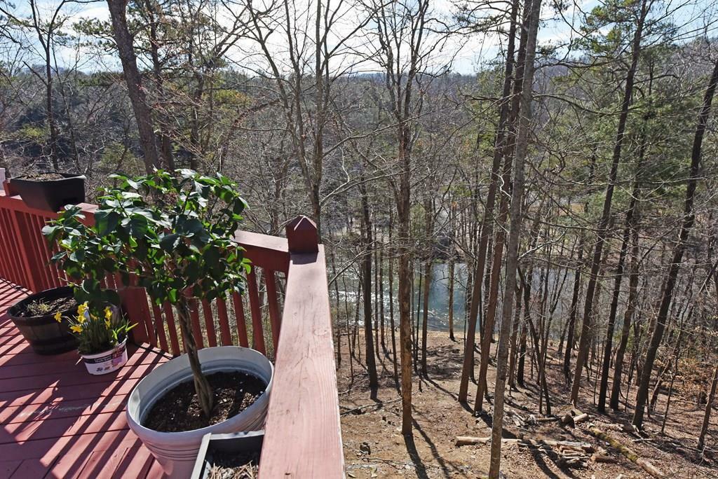Property Photo: 106 Opaque Way GA 30540