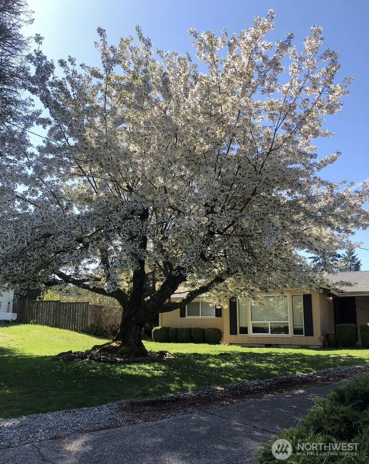 10820  109th Street SW  Tacoma WA 98498 photo