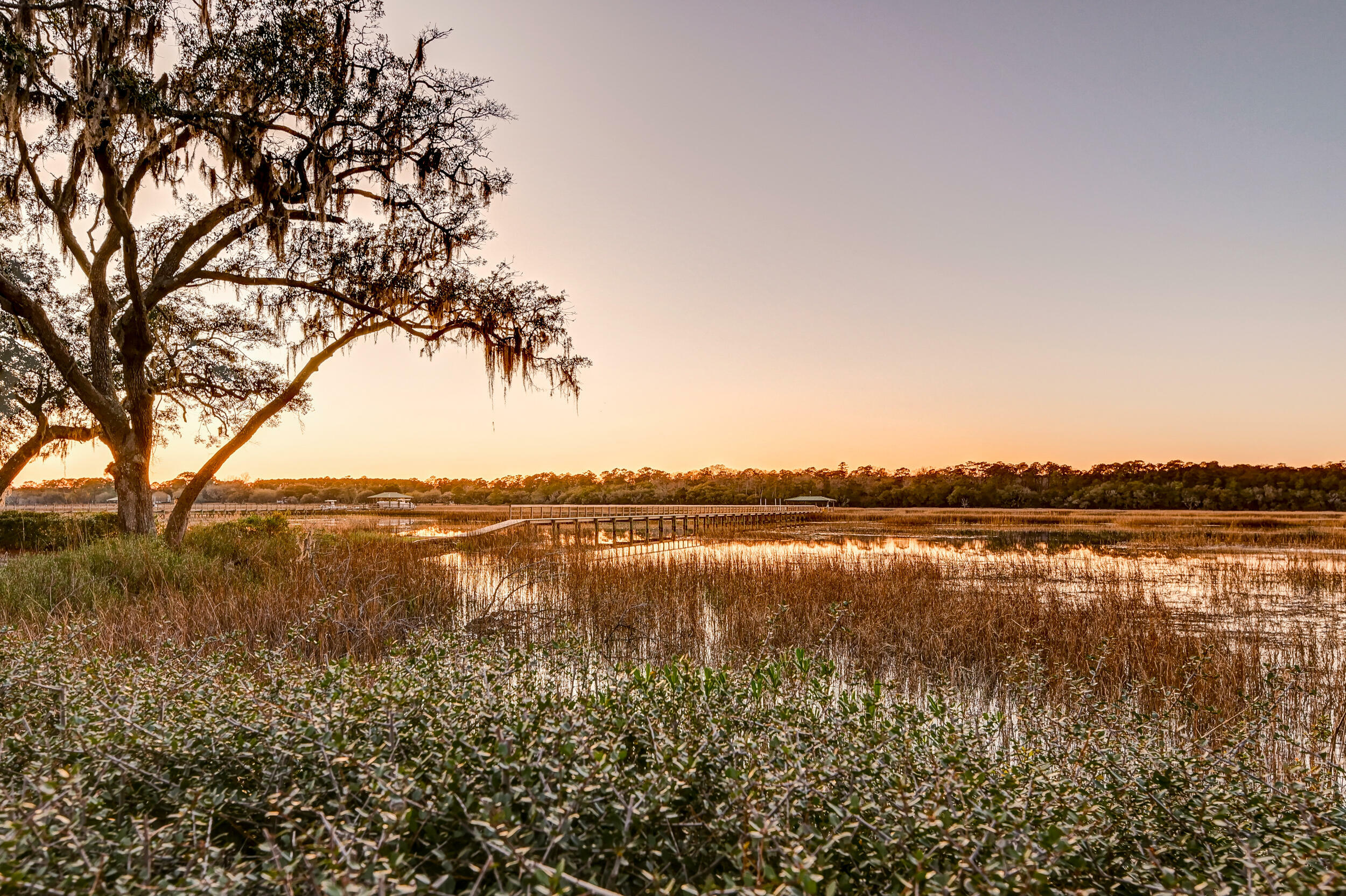 Property Photo: 4009 Ballovista Road SC 29455