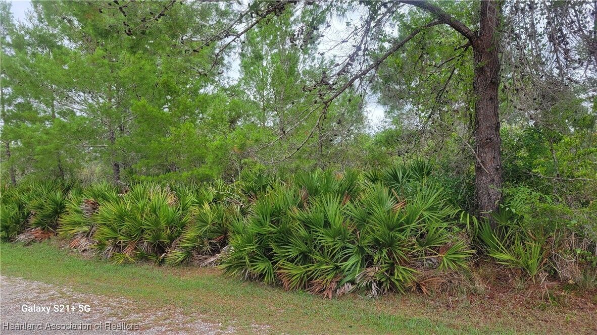 Property Photo:  Lot 9 Blk 1 Jasmine Street  FL 33852 