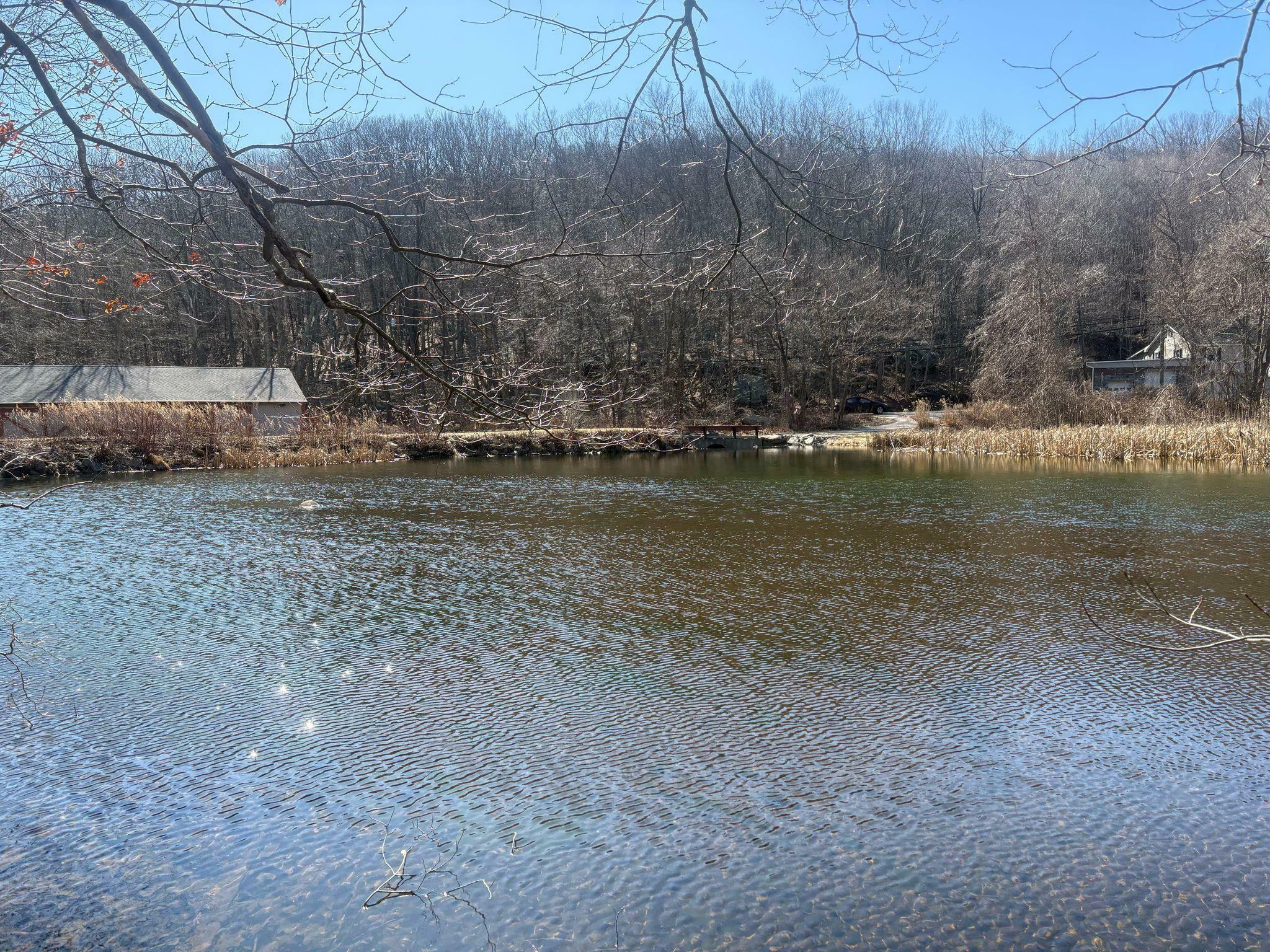 Property Photo:  19 Colonel Court  NY 12531 