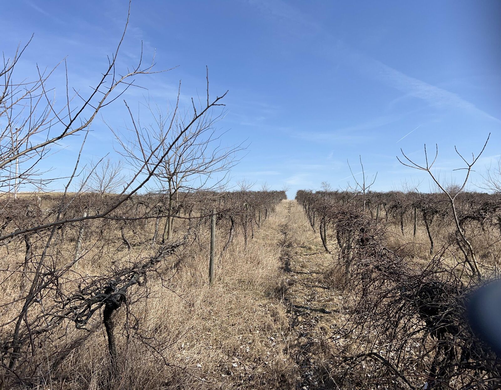 Property Photo: 0 Wagner Road MI 49107