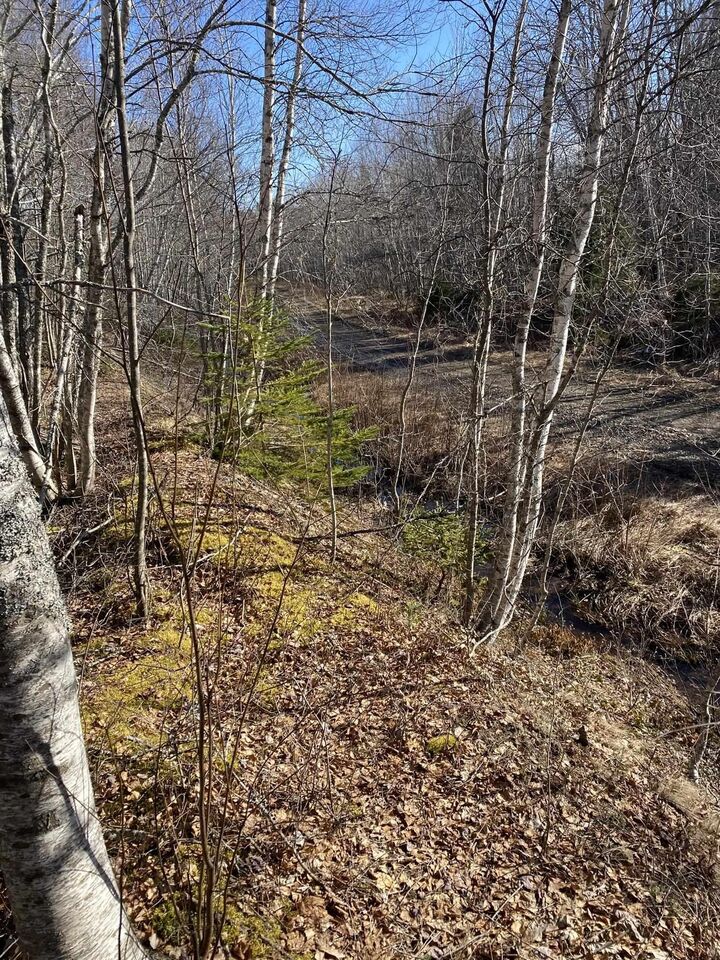 Property Photo:  Old Halifax Road  NS B0M 1X0 