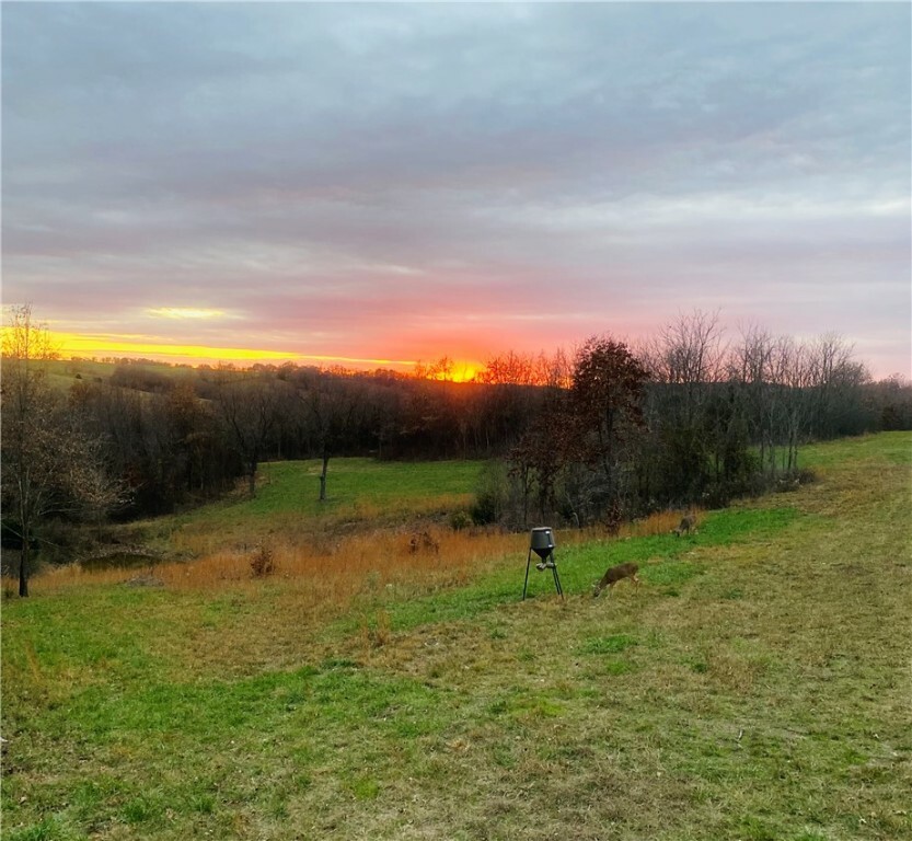 Tbd Carroll Cr 818 Road  Green Forest AR 72638 photo