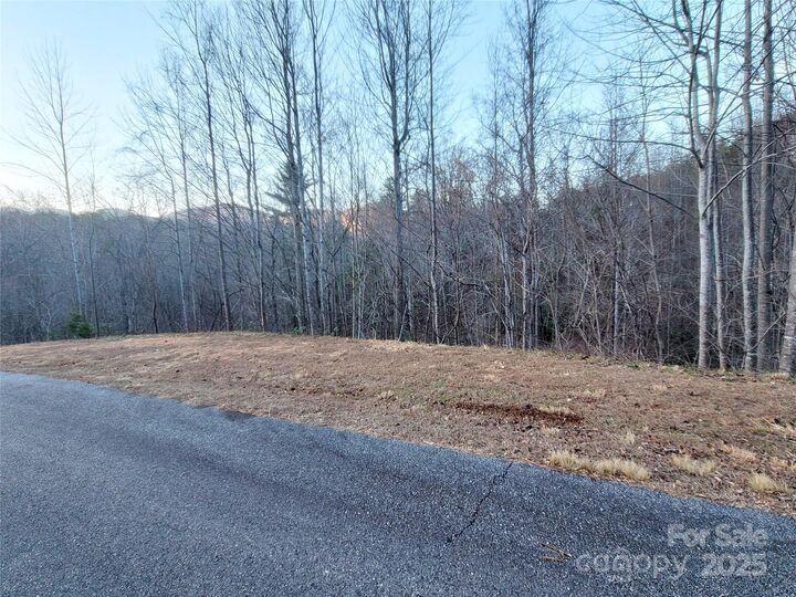 Property Photo:  000 Clear Creek Trail 47  NC 28746 