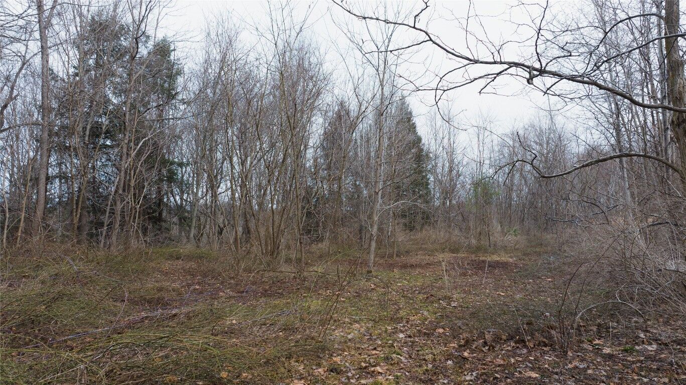 Property Photo:  Rt 20 Route  PA 16417