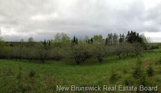 Property Photo: 935 Route 575 NB E7P 1Z7