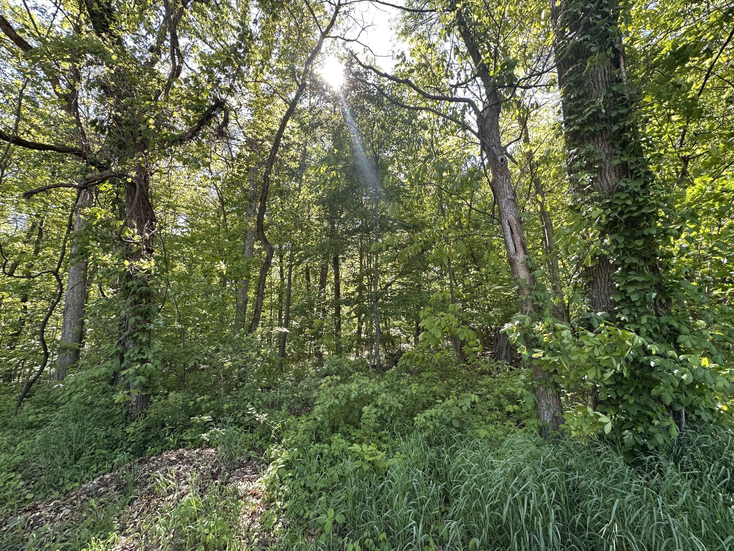 Property Photo:  0 E Division Road  IN 46350 