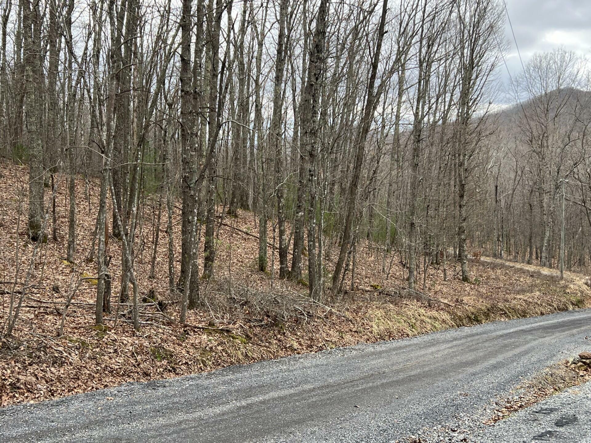 Property Photo: 0 Rattle Snake Rd WV 24941
