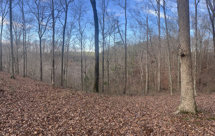 Property Photo: Lot 14 The Village At Laurelwood KY 42544