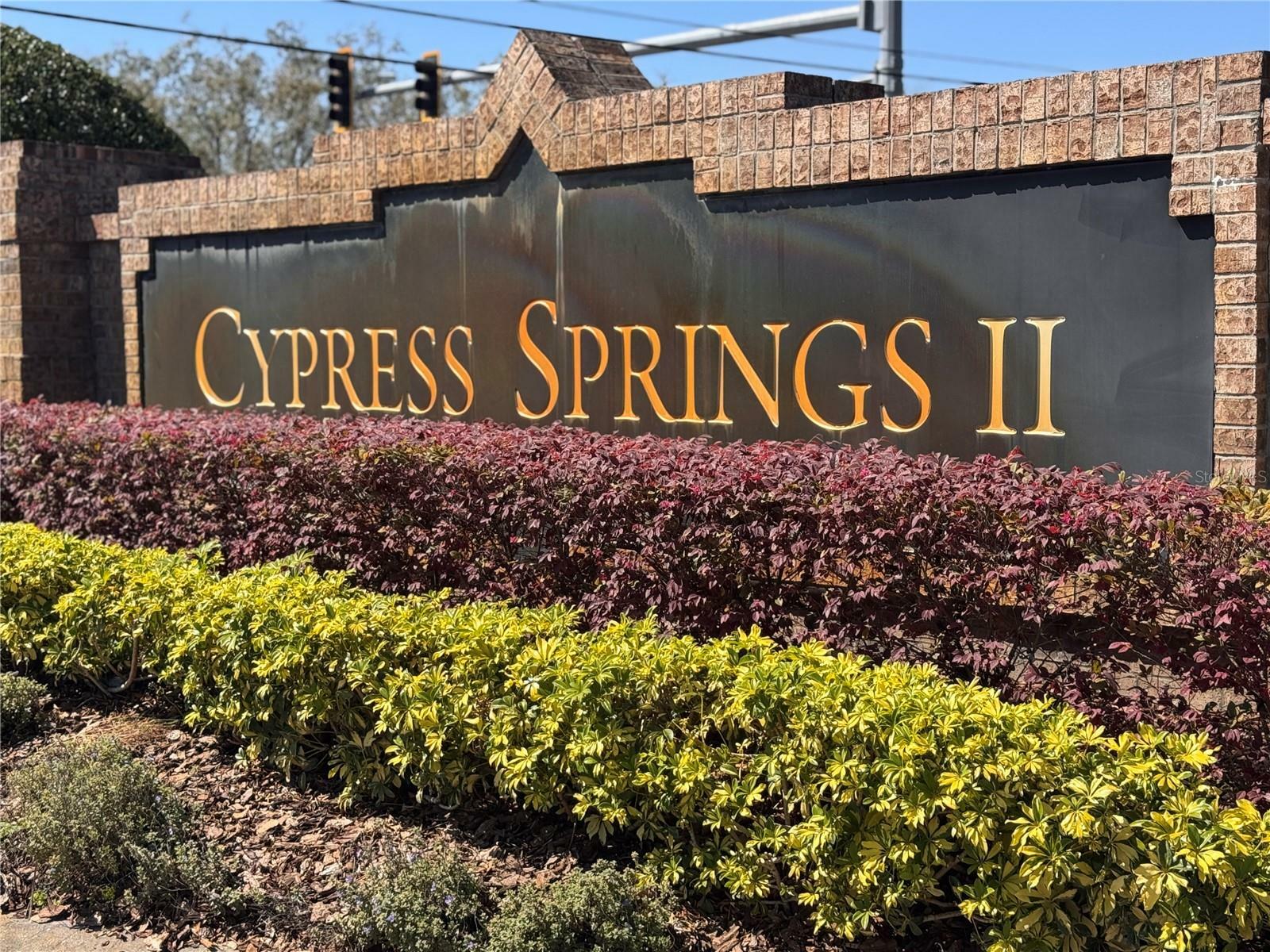 Property Photo: 2519 Cypress Trace Circle FL 32825