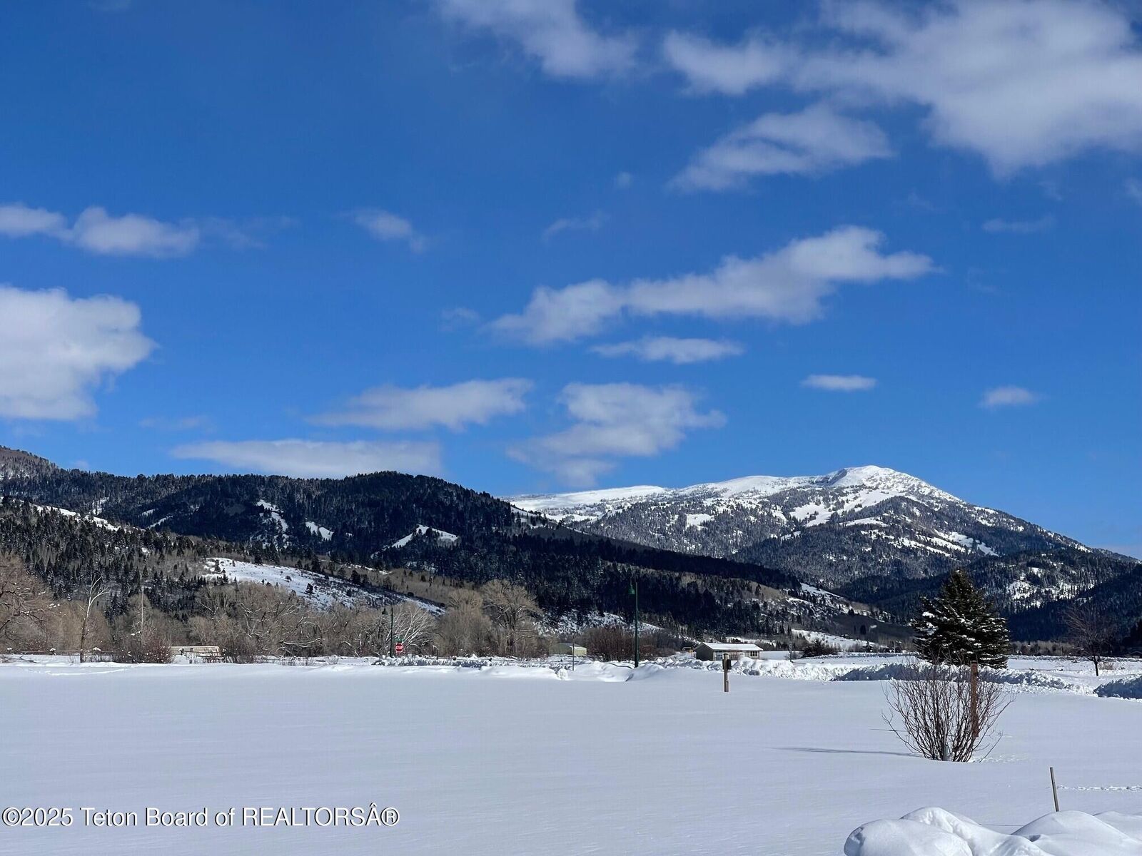 Property Photo: 122 Christopher Street ID 83455