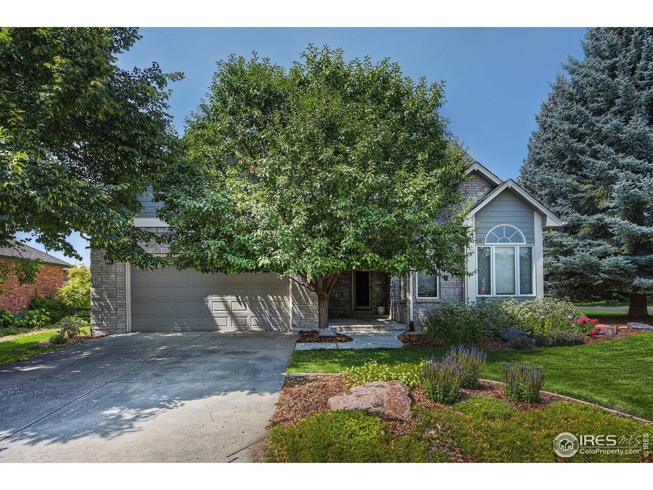 Property Photo:  2173 Sand Dollar Dr  CO 80503 