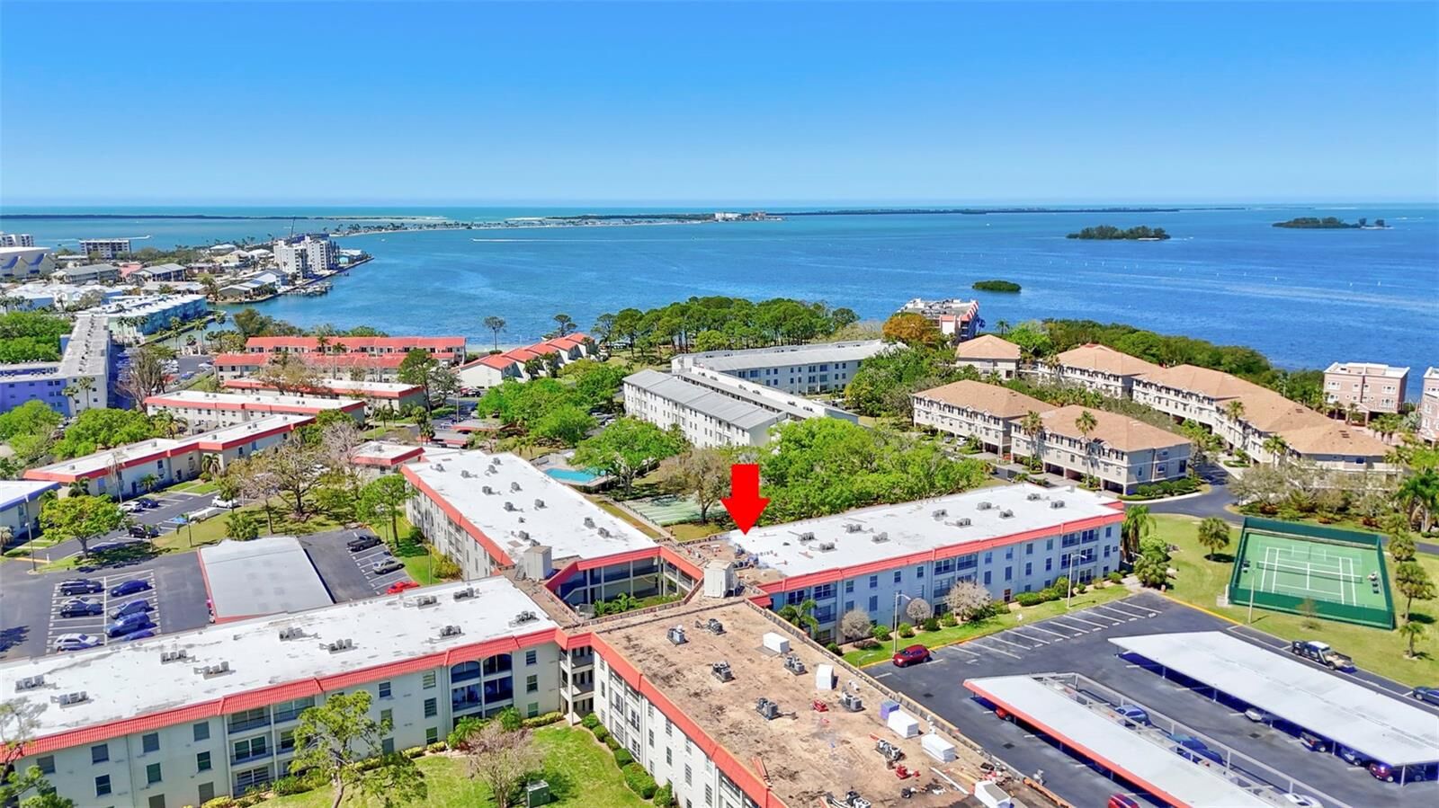 Property Photo:  2700 Bayshore Boulevard 4204  FL 34698 